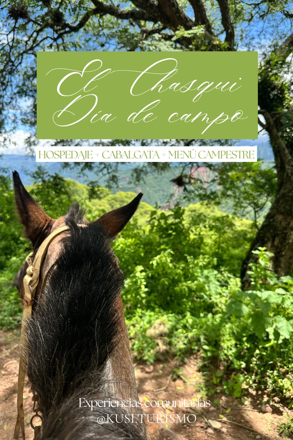 El chasqui dia de campo