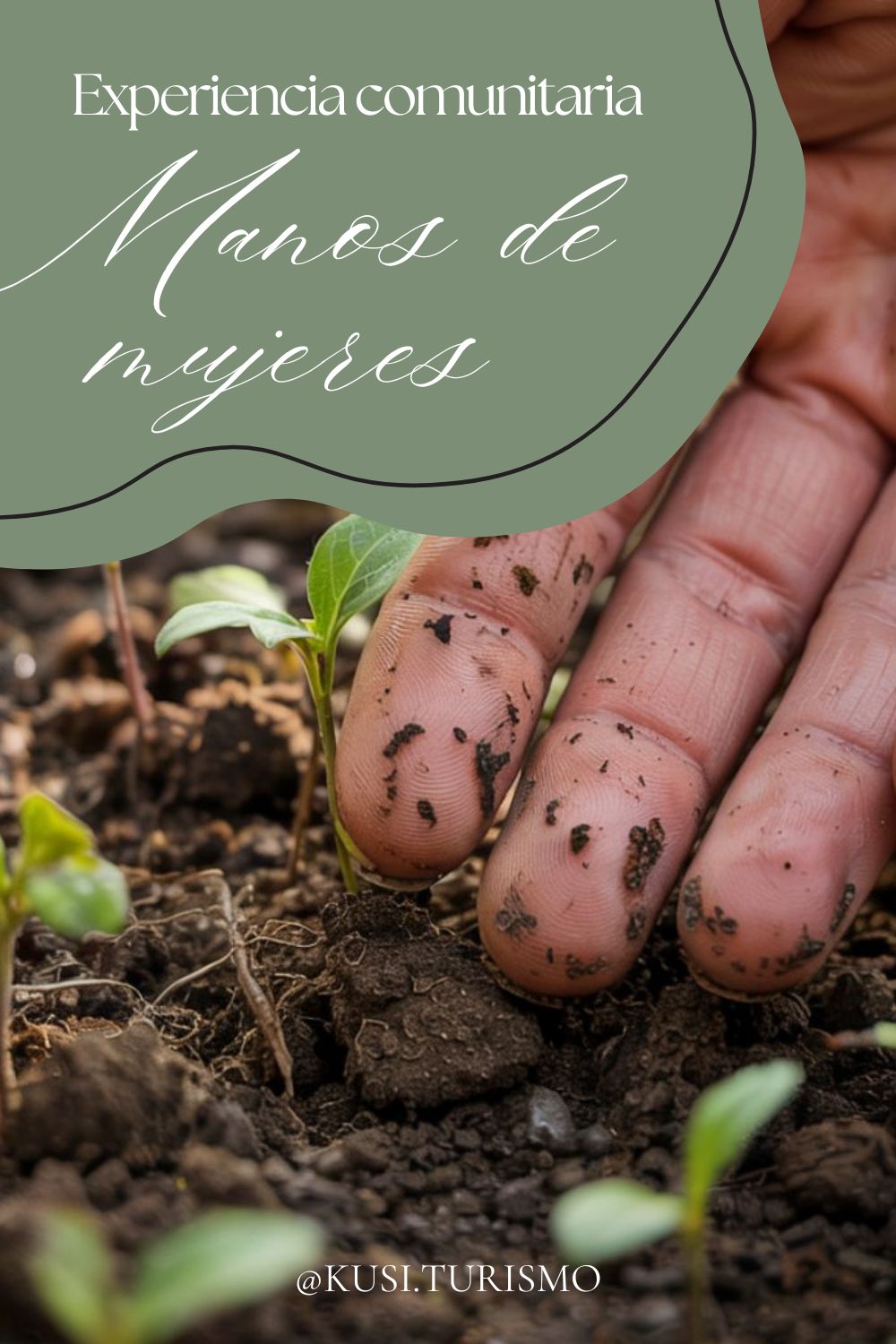 Manos de mujeres - cocina regional